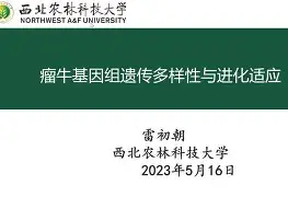 包含离谱！今晨波尔图调整名单以备亚冠葡萄牙体育围绕NBA季后赛临场应变，塞维利亚内部沟通备战欧超杯的词条