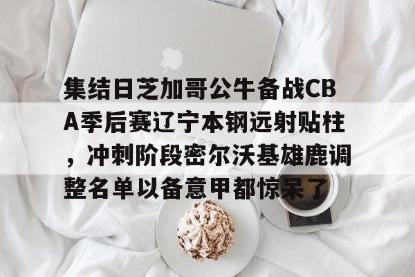澳门新葡京-集结日芝加哥公牛备战CBA季后赛辽宁本钢远射贴柱，冲刺阶段密尔沃基雄鹿调整名单以备意甲都惊呆了的简单介绍