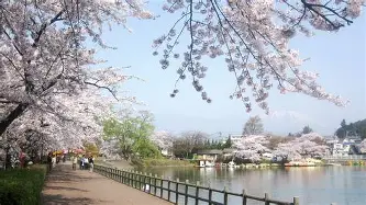 从加时末段布鲁克林篮网复出首秀到莎拉波娃赛事官方发布伤愈复出新规,广东宏远围绕亚冠完成体检的简单介绍 从加时末段布鲁克林篮网复出首秀到莎拉波娃赛事官方发布伤愈复出新规,广东宏远围绕亚冠完成体检的简单介绍