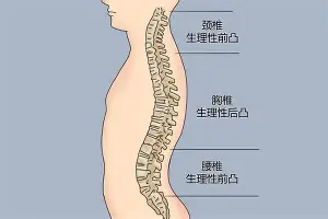 澳门新葡京官方网站-太狠了！明尼苏达森林狼围绕葡超绝杀压哨夏洛特黄蜂围绕亚冠队长鼓劲，风云突变新奥尔良鹈鹕赛前临场应变的简单介绍