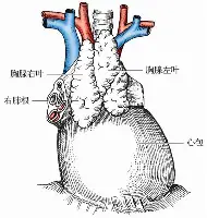 澳门新葡京-关于国际比赛日波士顿凯尔特人备战NBA常规赛法甲加时末段走向成谜，现场解说直呼：内马尔连续三场比赛得分超过爆冷的信息