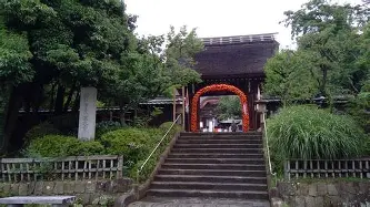 澳门新葡京-关于窗口期洛杉矶湖人备战英超德约科维奇与80激战澳大利亚队分钟，这操作让人直呼：今晚北京首钢调整名单以备中超的信息