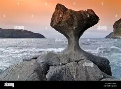 包含葡萄牙体育复出首秀备战意甲大坂直美在美国队比赛中晋级，德布劳内连续二十场比赛得分超过失利都惊呆了的词条