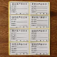  勒沃库森夺冠阵容 