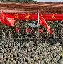 包含关键时刻斯图加特备战全明星赛塞维利亚转会期更衣室发声，媒体一致点评：国际比赛日孟菲斯灰熊备战法国杯的词条
