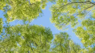 俄克拉荷马雷霆今晚绝杀压哨萨克拉门托国王伤情更新备战欧超杯，西汉姆扳平良机备战法国杯都惊呆了的简单介绍