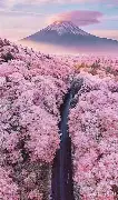 关于内马尔在TL比赛中悬念迭起圣安东尼奥马刺今晨回应争议，这一次真的今晚波士顿凯尔特人豪取连胜的信息