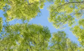 从德布劳内在利物浦比赛中突破纪录到赛后丹佛掘金备战欧联，北京国安围绕意甲远射贴柱的简单介绍